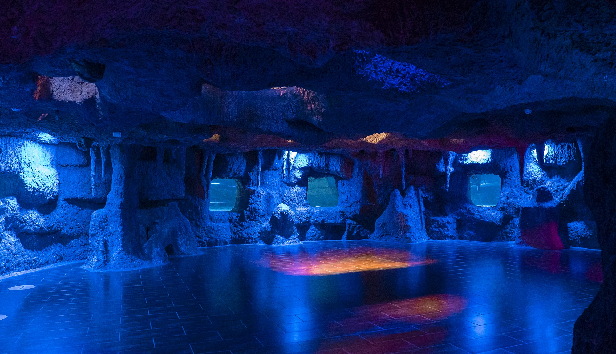 Antalya Aquarium Tour from Belek - Image 7