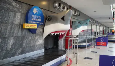 Antalya Aquarium Tour from Belek Tursay Travel 8