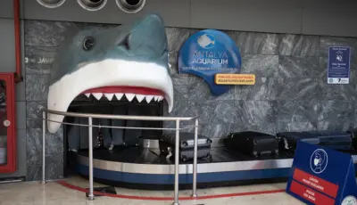 Antalya Aquarium Tour from Belek Tursay Travel 9