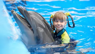 Alternative view of Belek Dolphin Show Tour