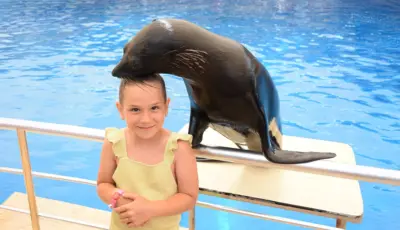 Belek Dolphin Show Tour Tursay Travel 10