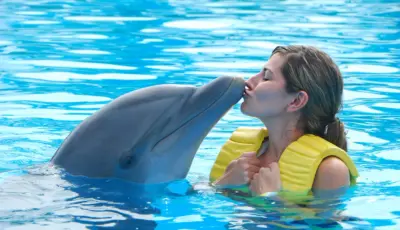 Belek Dolphin Show Tour Tursay Travel 12