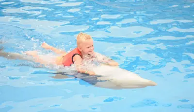 Belek Dolphin Show Tour Tursay Travel 13