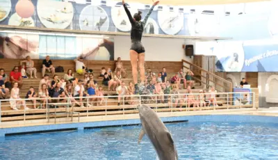 Belek Dolphin Show Tour Tursay Travel 14