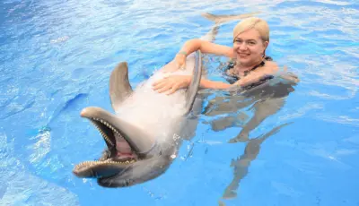 Belek Dolphin Show Tour Tursay Travel 17