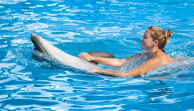 Belek Dolphin Show Tour Tursay Travel 6