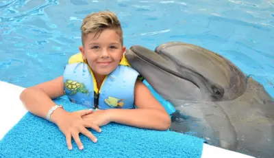 Belek Dolphin Show Tour Tursay Travel 8