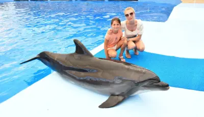 Belek Dolphin Show Tour Tursay Travel 9