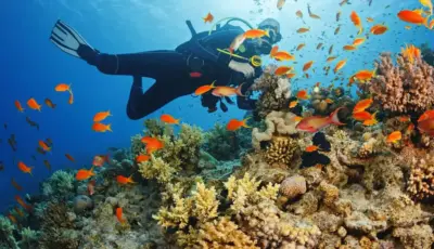 Belek Diving Tour Tursay Travel 9