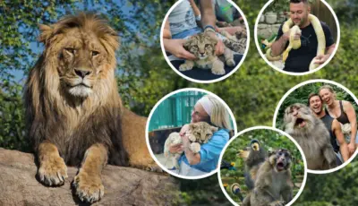 Green Canyon Manavgat Waterfall Zoo Park Tour from Belek Tursay Travel 4